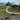 Walk With Me - Ynys Llanddwyn