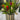 Tulip Basket - Light Blue Small